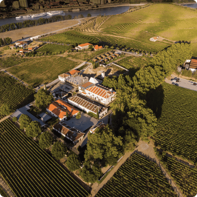 Hotel Folgosa Douro Boutique Hotel